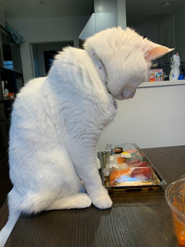 提供：@hakusama0906