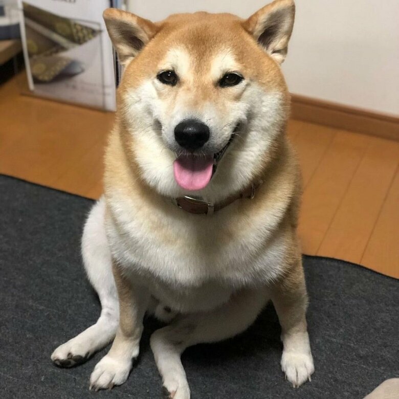 座り方少しおかしくないですか？