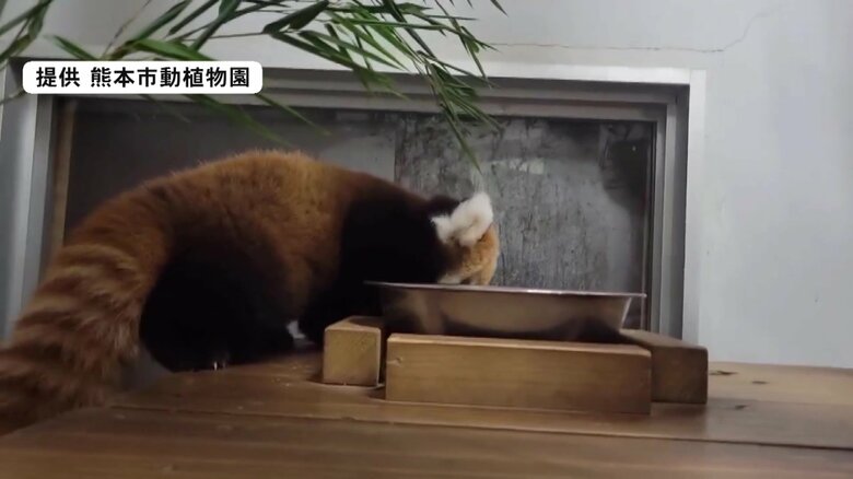 無事に登ることができた