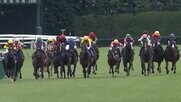【牝馬3冠最終戦 秋華賞・G1】西村淳也騎手がタイセイボーグと再出発！春の重賞制覇から秋G1へ