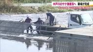 楢葉町・木戸川にサケの簗場が完成　「震災前の風景を」今年は豊漁に期待　数年不漁が続く