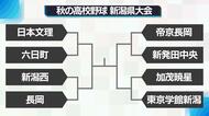 【秋の高校野球】新発田中央が三条との継続試合をコールドで制してベスト8進出　8強出そろい勝者が北信越大会へ