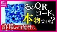 「ロボットではありません」“認証のはずがカード情報奪われる詐欺”に　“警察官なりすまし詐欺”は今年の被害額は約482億円　“勝手に送金QRコード詐欺”も　増え続ける　脅威増す新たな手口