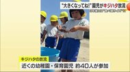 高級魚キジハタの放流　近くの幼稚園や保育園の園児らみんなで「大きくなってねー」と声援【愛媛】