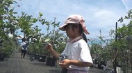 驚異のリピート率40％…開業2年で人気ブルーベリー農園にした夫婦「可能性ある」と夫が気づいたその“仕組み”