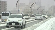 ≪年越し寒波≫新潟県は元日にかけまとまった雪に 31日の新潟市はホワイトアウトも 土砂災害や強風や落雷に注意