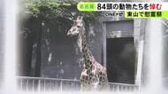 アミメキリンの「トリノ」など…彼岸に合わせて名古屋・東山動植物園で動物たちの慰霊祭 職員や来園者などが参列