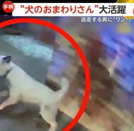 「ワン！」“犬のおまわりさん”大活躍！居合わせた犬が違法薬物所持男に噛みつき“確保”　下水溝に隠れた男発見する“お手柄”警察犬も　アメリカ
