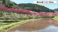 春の山里彩る「花桃」色とりどり2600本が満開！行楽日和から雨へ…そして「春の嵐」に注意