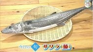 魚へんに「春」岡山を代表する魚・サワラ。県民に愛される食材を刺身に…鮮度の見分け方を市場のプロが解説【瀬戸内旬紀行　岡山・香川発】