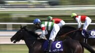 【天皇賞（春）・GⅠ】古馬最高の栄誉を掴んだのは1番人気のヘデントール　D.レーン騎手　来日初週でいきなりGⅠ制覇