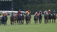 【牝馬3冠最終戦 秋華賞・G1】西村淳也騎手がタイセイボーグと再出発！春の重賞制覇から秋G1へ