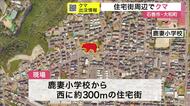 早朝の車道を移動…住宅街近くでクマ目撃相次ぐ　クマの行動活発な朝・夕は特に注意〈宮城〉