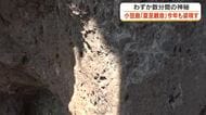 わずか数分間の神秘　小豆島で岩肌に差し込む光がまるで観音様のような「夏至観音」今年も姿を現す【香川】