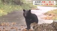 秋田県内の今秋のクマ、どう行動する？　専門家「生活圏への出没は減るが事故が起きないわけではない」