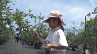 驚異のリピート率40％…開業2年で人気ブルーベリー農園にした夫婦「可能性ある」と夫が気づいたその“仕組み”