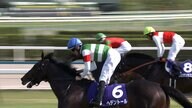 【天皇賞（春）・GⅠ】古馬最高の栄誉を掴んだのは1番人気のヘデントール　D.レーン騎手　来日初週でいきなりGⅠ制覇