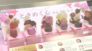 バレンタイン商戦スタート 西武福井店が「特設売り場」開設【福井】