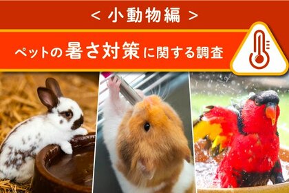 <小動物編>ペットの暑さ対策に関する調査