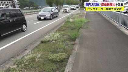 雑草が生え始めたビッグモーター　問題発覚から1カ月余り…感謝状を贈った国は被害届を提出