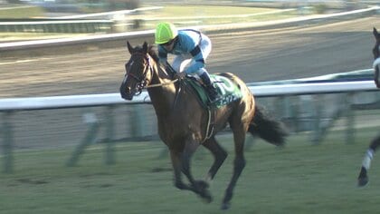 【皐月賞】オニャンコポン、珍名馬で菅原明良騎手が最年少Ｖを狙う！3歳牡馬の最重要レース “クラシック三冠”第一弾スタート