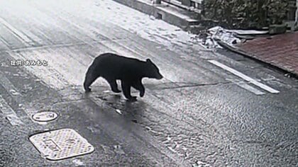 公園近くを歩くクマの姿…19日朝に目撃情報相次ぐ　10月末から2週間以上立ち入り規制も13日に解除　秋田市中心部