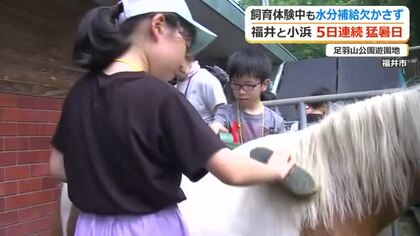 真夏の遊園地で子供たちが動物の“お世話”体験　ポニーのベッドづくりや餌やり　南国生まれのおしゃべりオウムと交流も　福井市足羽山公園遊園地