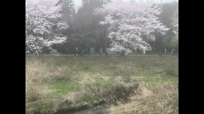すぐ近くには学校も…　郡山市街地でクマ出没　今後緊急猟銃の可能性も