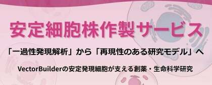 「一過性発現解析」から「再現性のある研究モデル」へ    VectorBuilderの安定細胞株が支える創薬・生命科学研究
