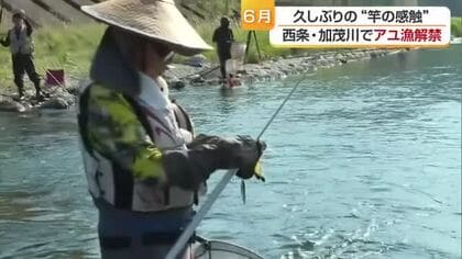 「待ちかねた」西条・加茂川でアユ漁解禁　久々の感触に「駆け引き最高」初夏の風流楽しむ【愛媛】