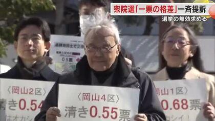 衆院選「１票の格差」弁護士グループが選挙無効を求め岡山・香川でも提訴【岡山・香川】