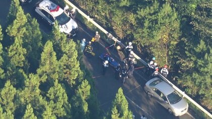 顔や首などにひっかき傷の遺体“熊被害”か…宮城でキノコ狩り中の75歳女性が死亡1人行方不明　長野でもキノコ狩りに入ったまま行方不明の78歳男性死亡