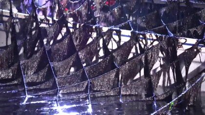 平均単価“過去最高値”35円23銭 有明海養殖ノリ色落ちなく“黒くて良質” 一方で昨季の不作で廃業した漁業者も