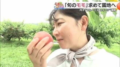 ”愛しの媛さんぽ”二刀流農家がつくる”お宝級”『桃』に舌鼓＆「めちゃめちゃおいしかった」同級生３人組も絶賛！内子町産にこだわる『かき氷』【愛媛発】