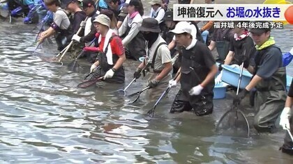 福井城址のお堀の魚が“お引っ越し”　「坤櫓」復元工事でお堀の水抜き　2029年度完成予定