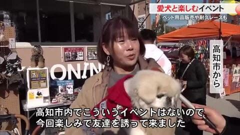 愛犬家のためのお祭り高知で開催