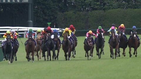 【牝馬3冠最終戦 秋華賞・G1】西村淳也騎手がタイセイボーグと再出発！春の重賞制覇から秋G1へ