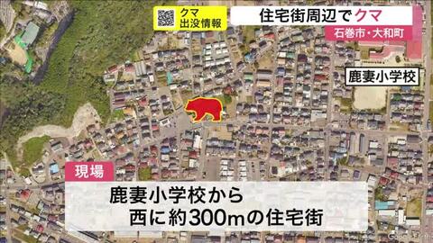 早朝の車道を移動…住宅街近くでクマ目撃相次ぐ　クマの行動活発な朝・夕は特に注意〈宮城〉