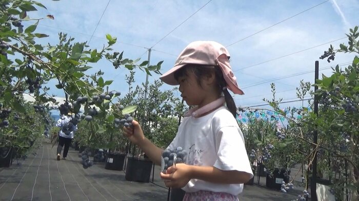 ニュースONE