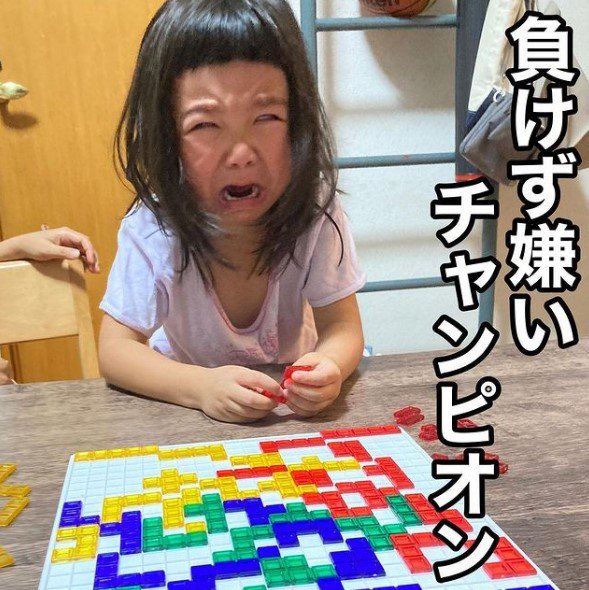 負けず嫌いチャンピオン(提供:かいさん)