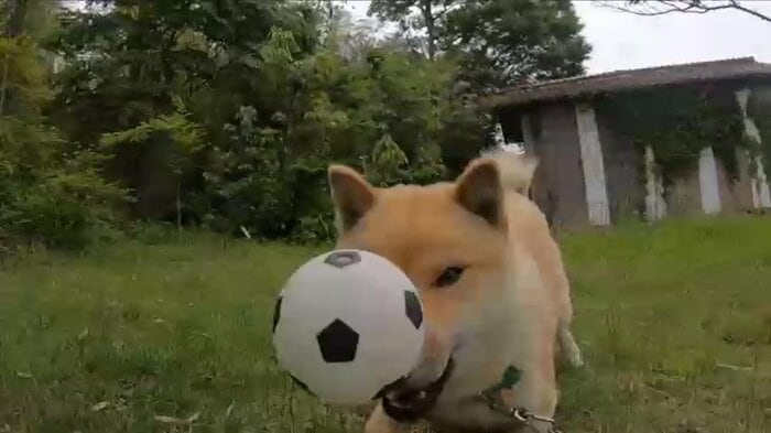やんちゃ盛りの1歳2カ月