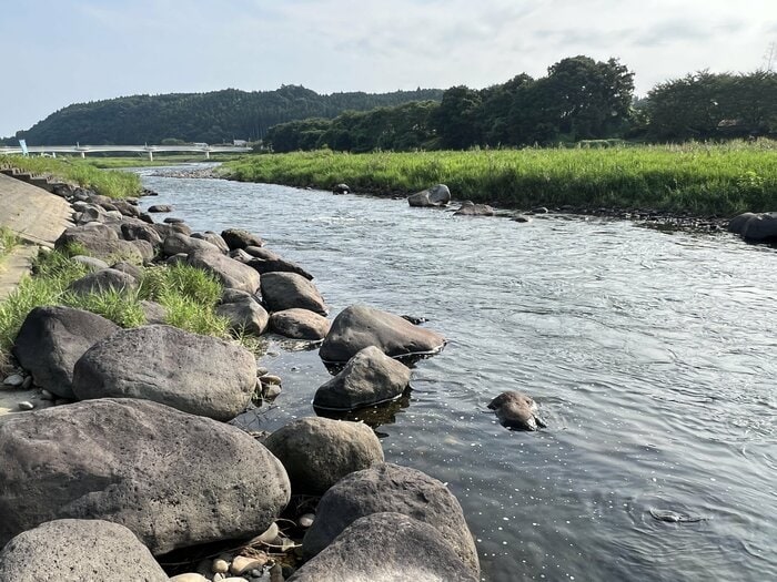 那珂川右岸から対岸の黒羽城方面を望む