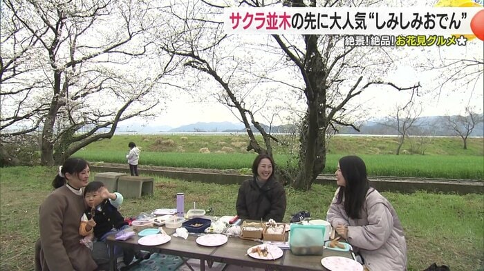 200メートルほどのサクラ並木