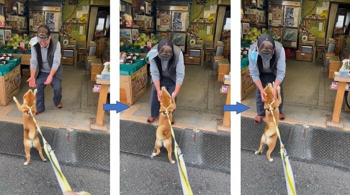 おっちゃんがそばに来てくれてマメちゃんはうれしそう