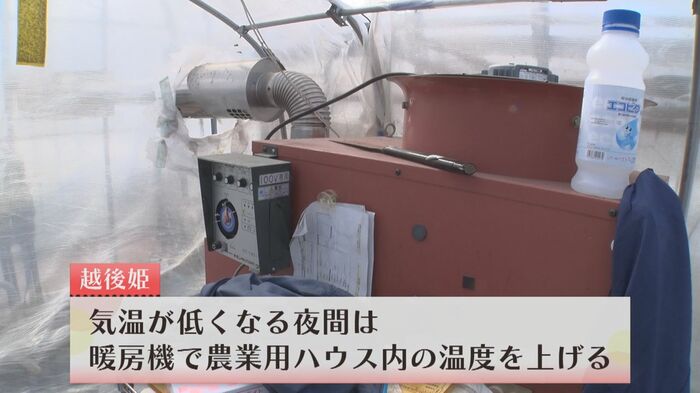 夜間は暖房で温度管理