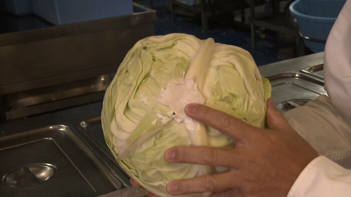 芯の部分に石灰が塗られたキャベツ