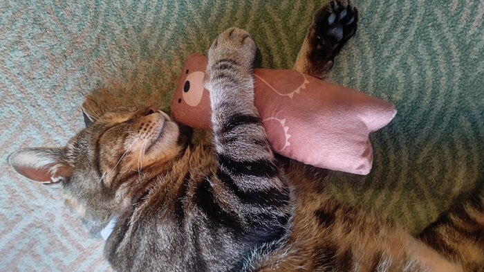 見る人を自然と笑顔に