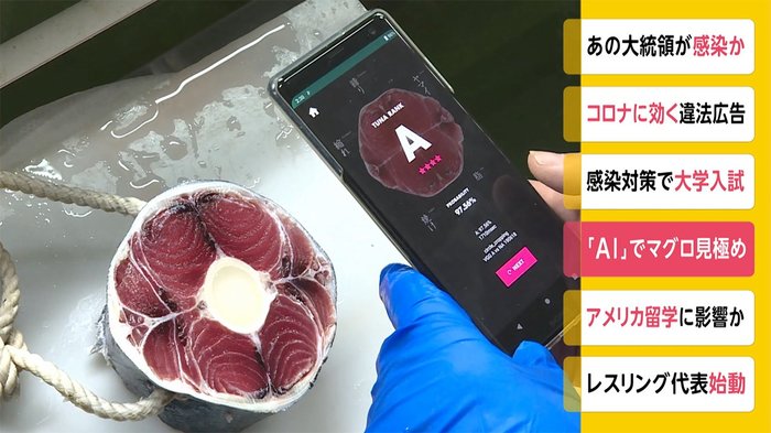くら寿司 AIでマグロ見極め 産地買い付けが難しい中