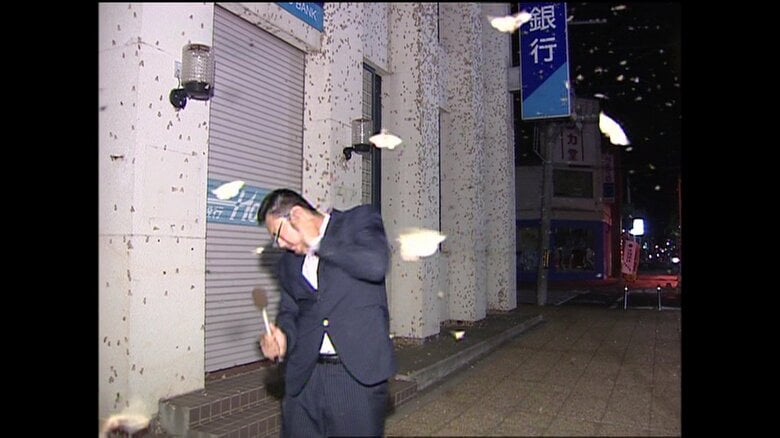 定期的に襲来”ガの群れ”2009年にも記者が襲われていた 2023年は札幌市で「クスサン」大量発生【北海道発】｜FNNプライムオンライン