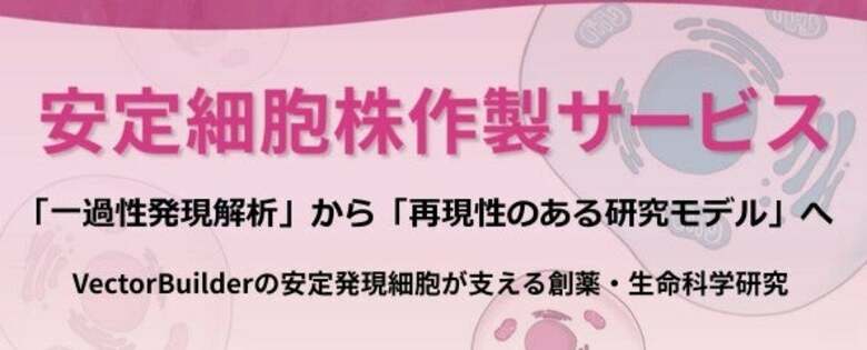 「一過性発現解析」から「再現性のある研究モデル」へ    VectorBuilderの安定細胞株が支える創薬・生命科学研究
